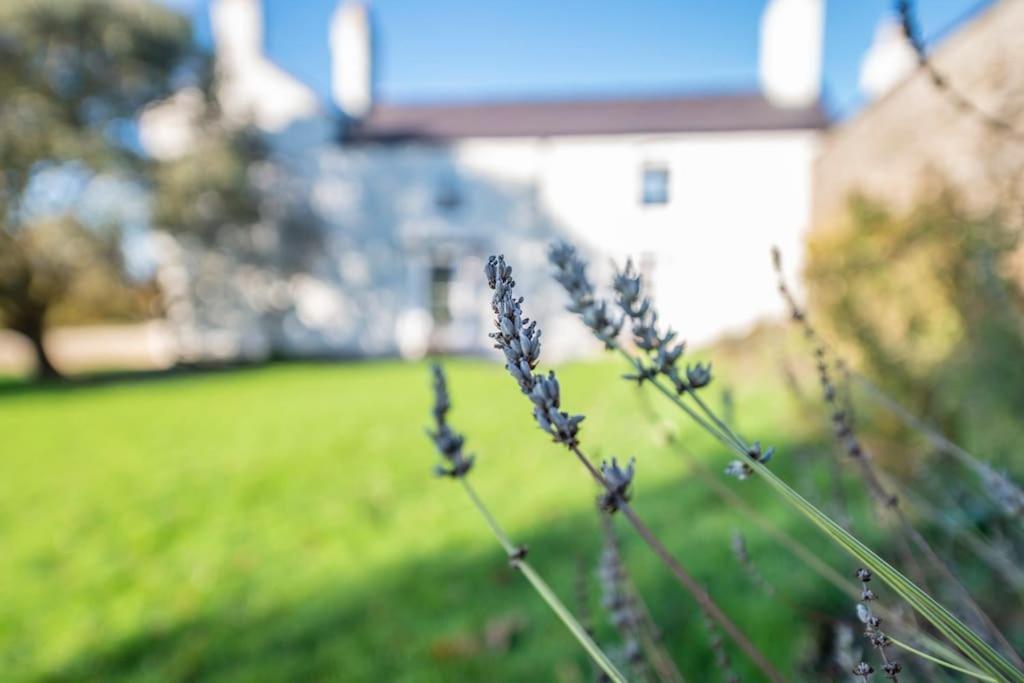 רות'ין Georgian Country House -Panoramic Views -Sleeps 12 מראה חיצוני תמונה
